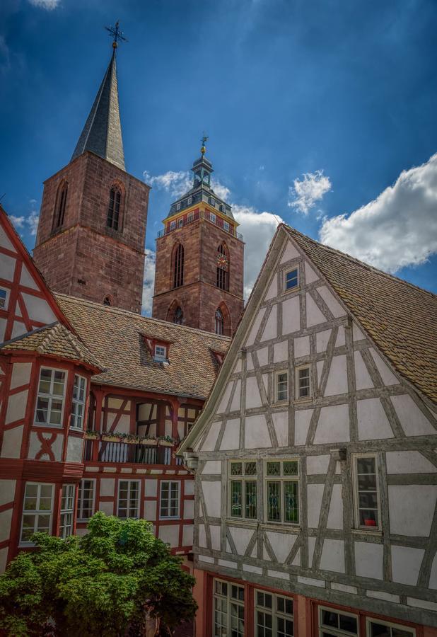 Steinhaeuser Hof Neustadt an der Weinstraße Екстериор снимка