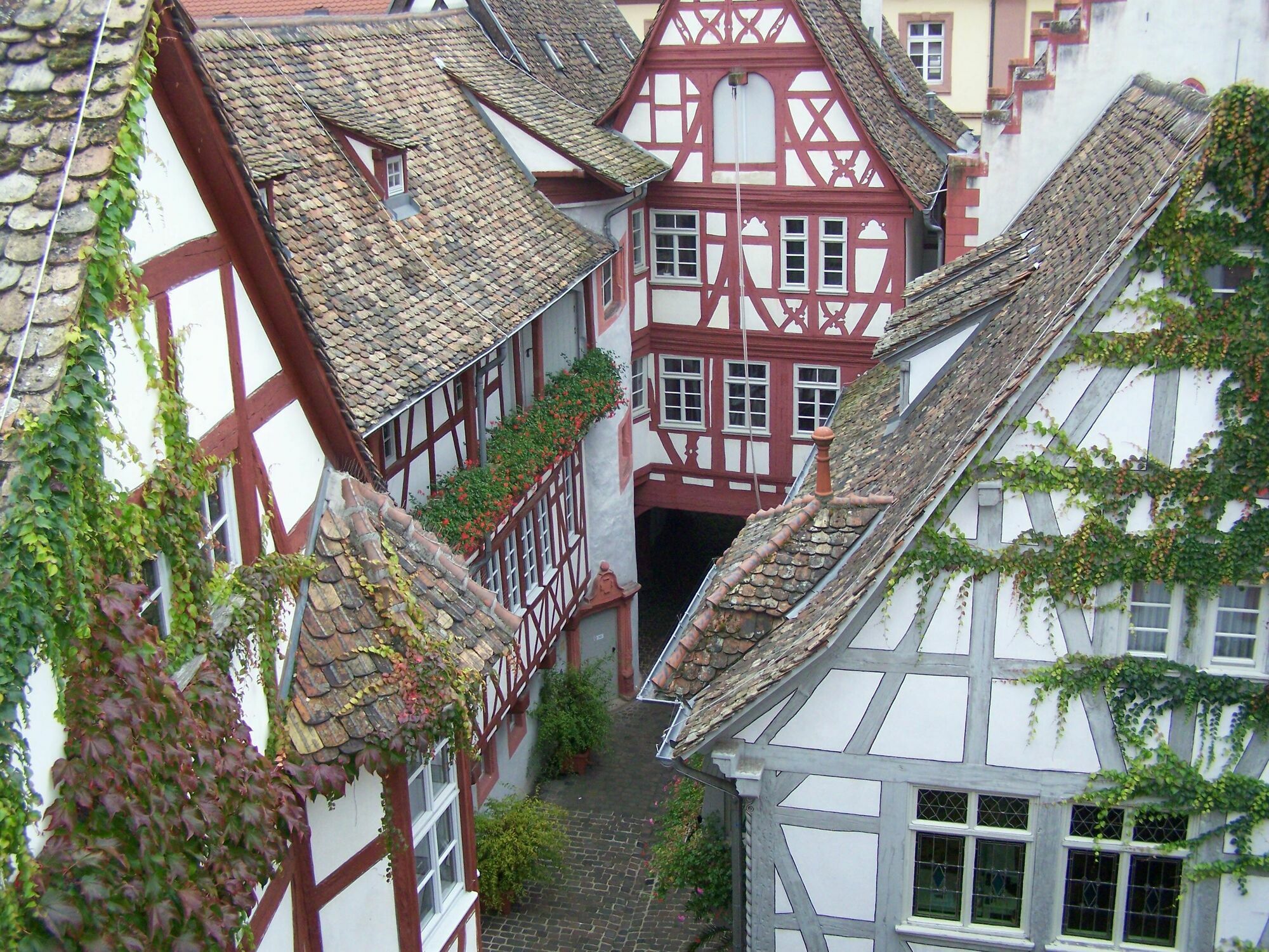 Steinhaeuser Hof Neustadt an der Weinstraße Екстериор снимка